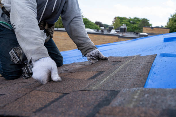 Best Roof Waterproofing Services  in Wayland, IA