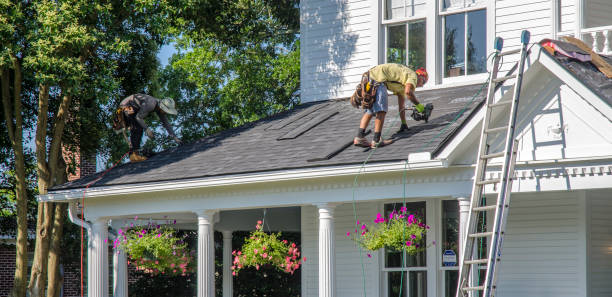 Best Roof Repair Services  in Wayland, IA