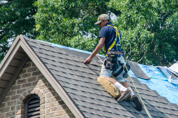 Best Flat Roof Repair Services  in Wayland, IA